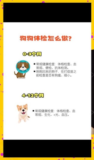 狗狗检测抗体多少钱，狗狗检测抗体多少钱一次？
