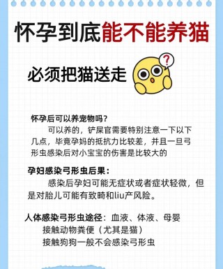 备孕期可以养猫咪吗？备孕期间能养猫嘛（最新）
