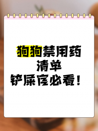 怎么让狗狗安静的上药？怎样让狗狗安静下来（最新）