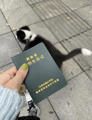 狗狗免疫证怎么办，狗狗免疫证有什么用？