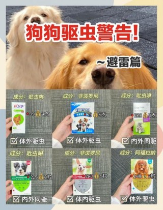 狗狗能吃人的驱虫药吗，（狗狗可以吃人吃的驱虫药吗吃多少）