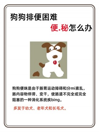 狗狗不大便怎么回事，（狗狗不大便怎么回事吃什么药）