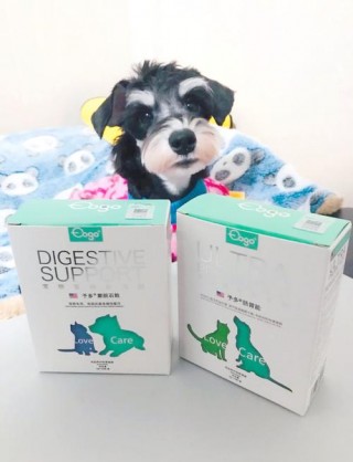 狗狗可以吃蒙脱石散吗，小狗可以吃蒙脱石散吗?？