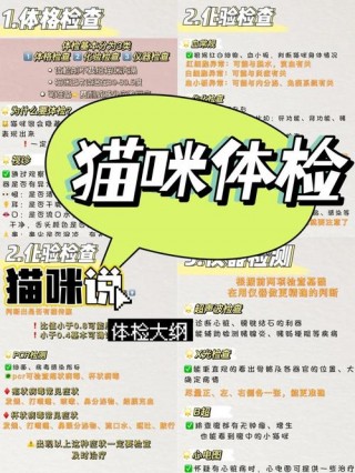 猫咪多久体检一次，宠物猫多久体检一次？