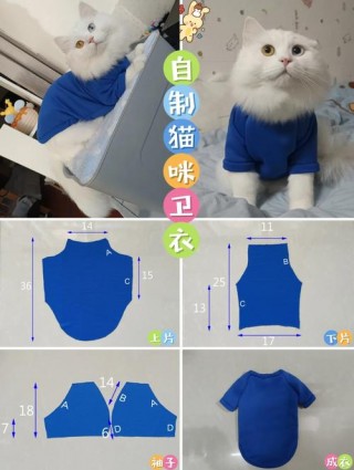 手工猫咪衣服怎么做，手工猫咪衣服怎么做的？