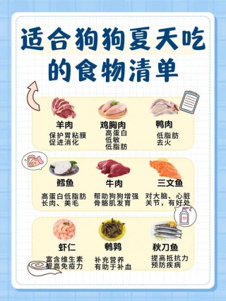 狗狗吃什么去火效果比较好？狗狗吃什么能去火（最新）