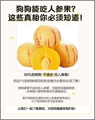 狗狗可以吃人参果吗，（狗狗吃人参果吗会怎么样）