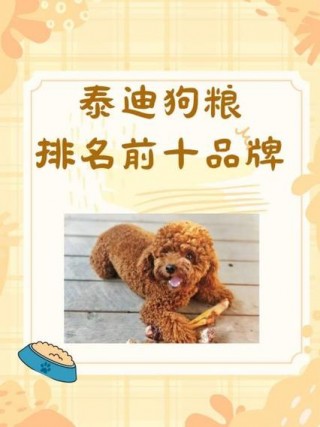 泰迪狗狗吃什么狗粮好，泰迪狗吃啥狗粮比较好？