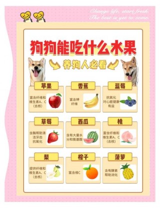 狗狗能吃哪些水果？狗狗能吃哪些水果?（最新）