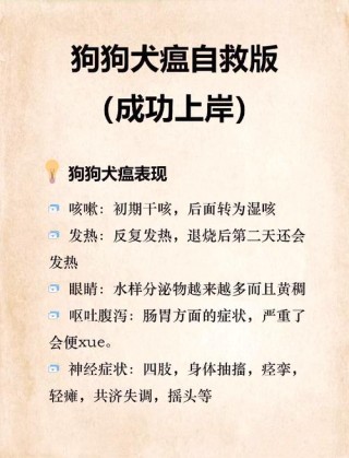 狗狗得了犬瘟怎么办，狗狗得了犬瘟用什么药最有效？