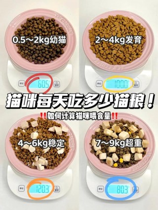四个月猫咪一天吃多少，四个月猫咪一天吃多少鸡胸肉？