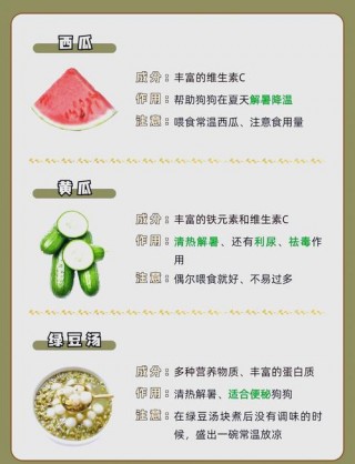 狗狗去火应该吃啥，（狗狗去火应该吃啥水果）