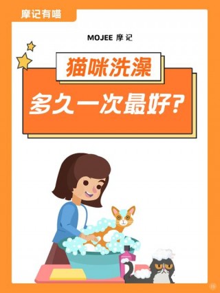 猫咪多久可以洗澡，（猫咪多久可以洗澡?）
