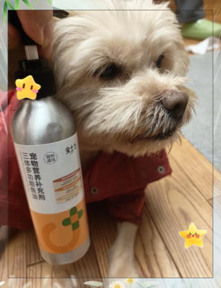 狗狗可以吃椰子油吗？椰子油狗狗能生吃吗（最新）