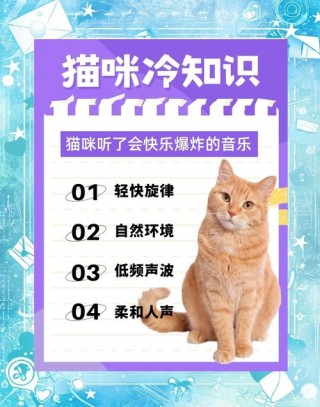 猫咪最喜欢的歌曲，猫咪最喜欢的歌曲有哪些？