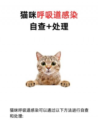 猫咪打喷嚏干呕，猫咪打喷嚏干呕吃什么药？