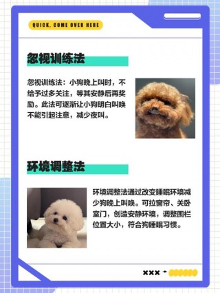 狗狗半夜一直叫怎么办？我家狗狗半夜一直在叫,什么原因啊（最新）