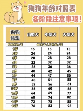 如何分辨狗狗的年龄，如何分辨狗狗年龄大小？