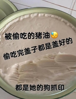 狗狗可以吃猪油吗，狗狗可以吃猪油么？