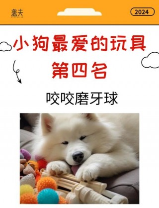 狗狗的玩具有哪些，小狗的玩具有哪些？