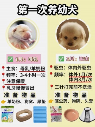 一个月大的狗狗怎么喂养？小狗30天了可以吃什么（最新）