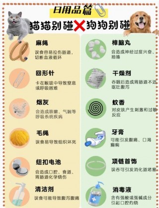 猫粮能给狗狗吃吗，（猫粮能给狗狗吃吗有毒吗）