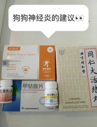 狗狗抽搐吃什么药？狗狗抽搐急救的正确方法（最新）