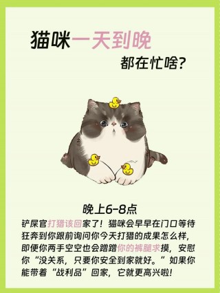 猫咪喵喵叫是在说话吗？猫咪喵喵叫是干嘛（最新）