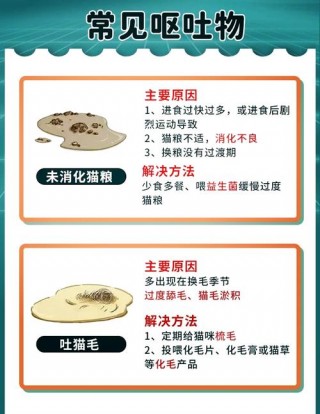 猫咪为什么吐猫粮，（猫咪呕吐出没消化的猫粮）