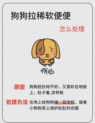狗狗到处拉屎怎么办，狗狗到处拉屎拉尿怎么办求解？