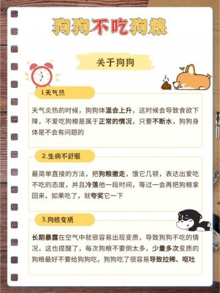 狗狗不愿意吃狗粮怎么办？狗狗不愿意吃狗粮是什么原因（最新）