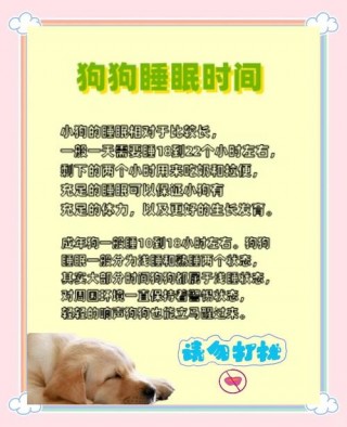 狗狗的睡眠时间？狗狗的睡眠时间在几点到几点（最新）