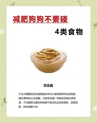 吃什么能让狗狗长胖？吃什么可以让狗狗胖起来（最新）