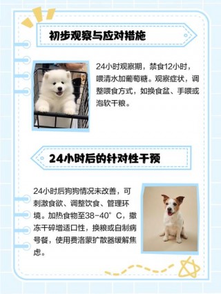 小狗狗发抖是怎么回事，（小狗发抖是什么原因引起的）