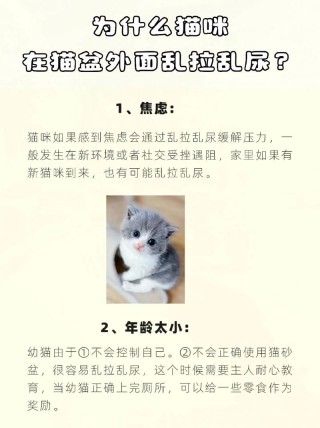 猫咪突然随地大小便，猫咪突然随地大小便 然后喝水频繁？