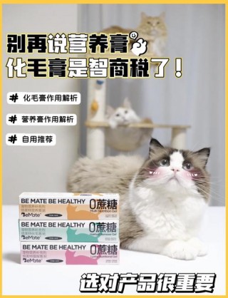 猫咪要吃化毛膏吗，（猫要吃化毛膏吗贴吧）