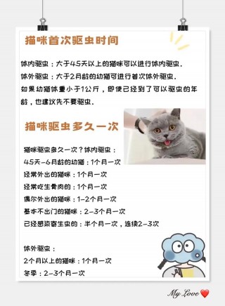 猫咪多久一次驱虫，猫咪多久一次驱虫合适？