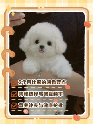 2个月的狗狗吃多少狗粮，（2个月的狗狗吃多少狗粮合适）