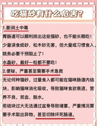 猫咪为什么吃猫砂？猫咪为什么吃猫砂会拉稀（最新）