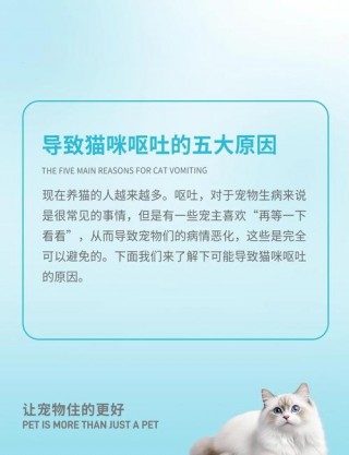 猫猫吐了怎么办，猫猫吐了怎么办需要吃什么药？