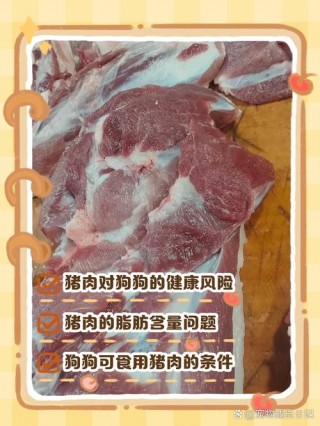 狗狗可以吃猪肉吗，狗狗可以吃猪肉吗有什么好处？