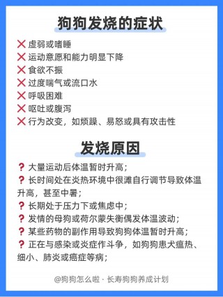 怎么判断狗狗是否发烧，（怎么判断狗狗是否发烧感冒）