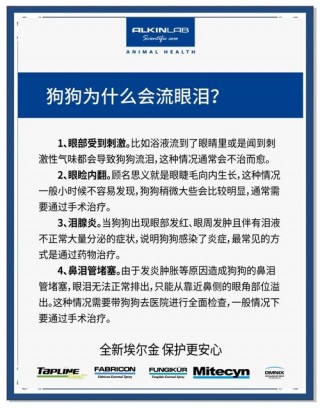 狗狗流眼泪是什么原因？狗狗流眼泪是什么原因引起的（最新）