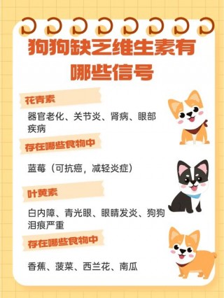 狗狗能吃维生素e吗？狗狗能不能吃维生素e胶囊（最新）