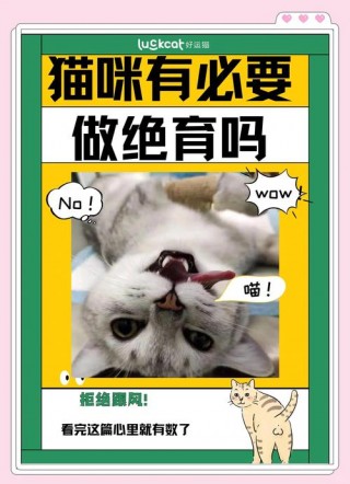 猫咪绝育的坏处，（猫咪绝育有什么坏处）