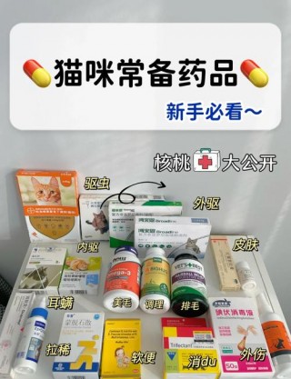 猫咪发烧40度怎么办？猫咪发烧到40度严重吗（最新）