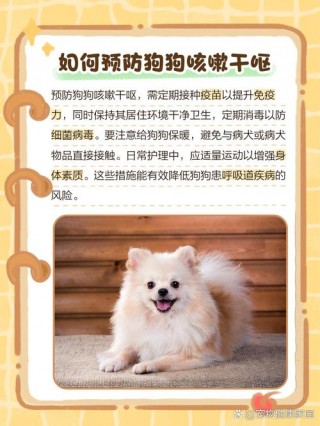 狗狗咳嗽干呕能自愈吗？狗狗咳嗽咔咔声但精神很好（最新）