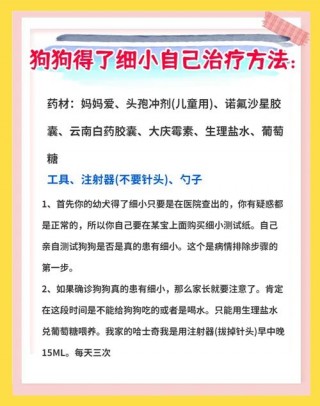 治疗狗狗细小的土方法，治狗狗细小的土方子狗狗得细小好转的征兆？