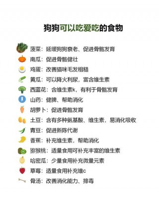 狗狗能吃皮蛋吗，狗狗能吃皮蛋吗泰迪？