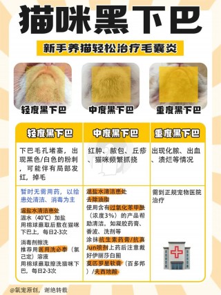 如何帮猫咪清除黑下巴，（如何帮猫咪清除黑下巴的方法）